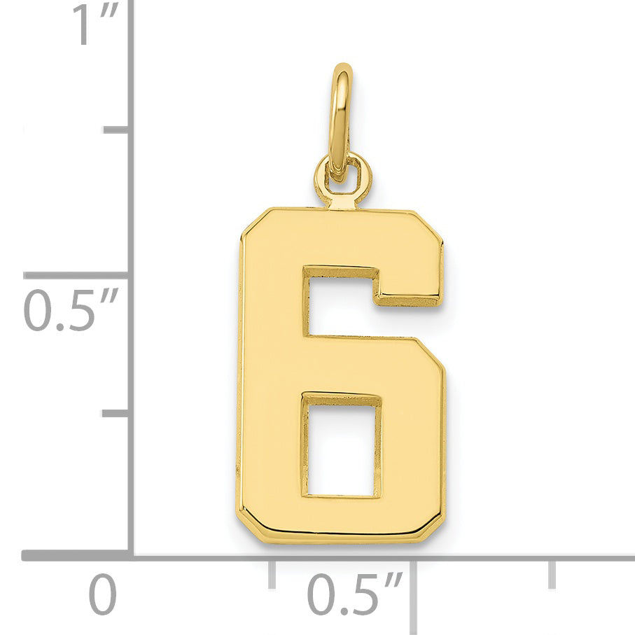 10K Yellow Gold Medium Polished Number 6 Charm