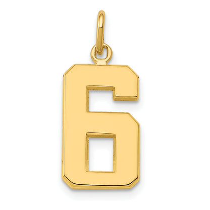 10K Yellow Gold Medium Polished Number 6 Charm