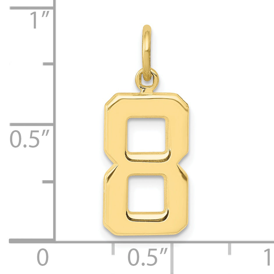 10K Yellow Gold Medium Polished Number 8 Charm