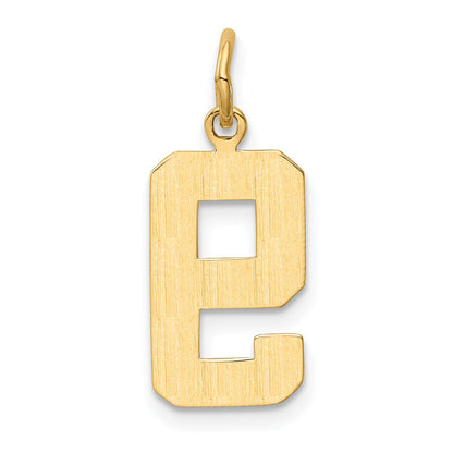 10K Yellow Gold Medium Polished Number 9 Charm