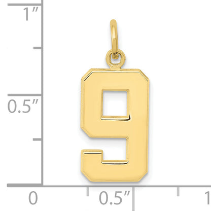 10K Yellow Gold Medium Polished Number 9 Charm