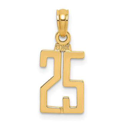 10K Yellow Gold 10K Number 25 Pendant