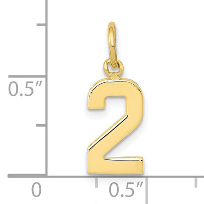 10K Yellow Gold Small Polished Number 2 Charm