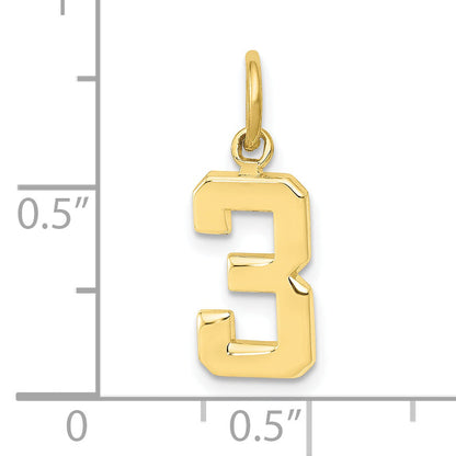 10K Yellow Gold Small Polished Number 3 Charm