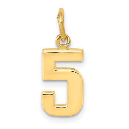 10K Yellow Gold Small Polished Number 5 Charm