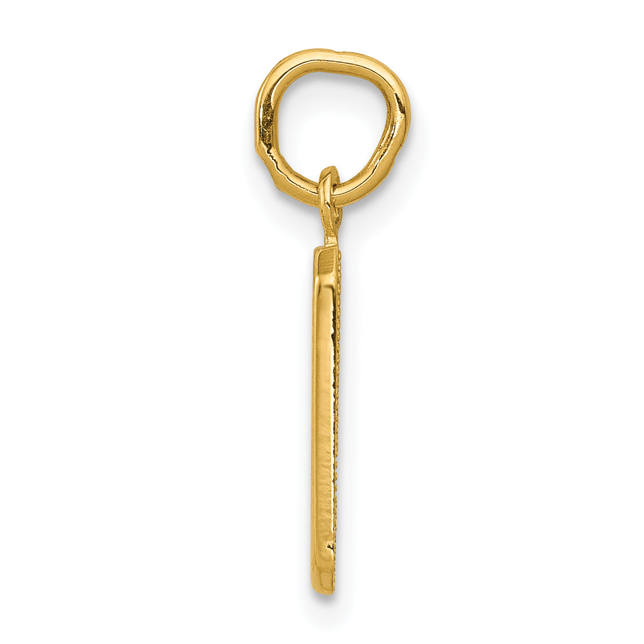 10K Yellow Gold Small Polished Number 9 Charm