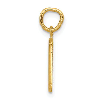 10K Yellow Gold Small Polished Number 9 Charm