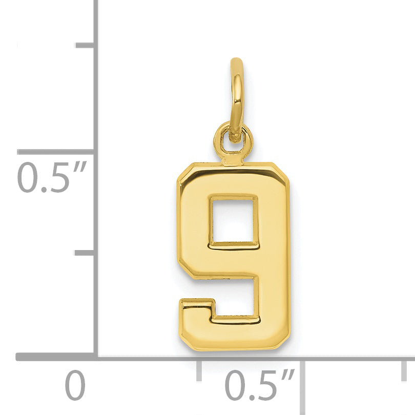 10K Yellow Gold Small Polished Number 9 Charm