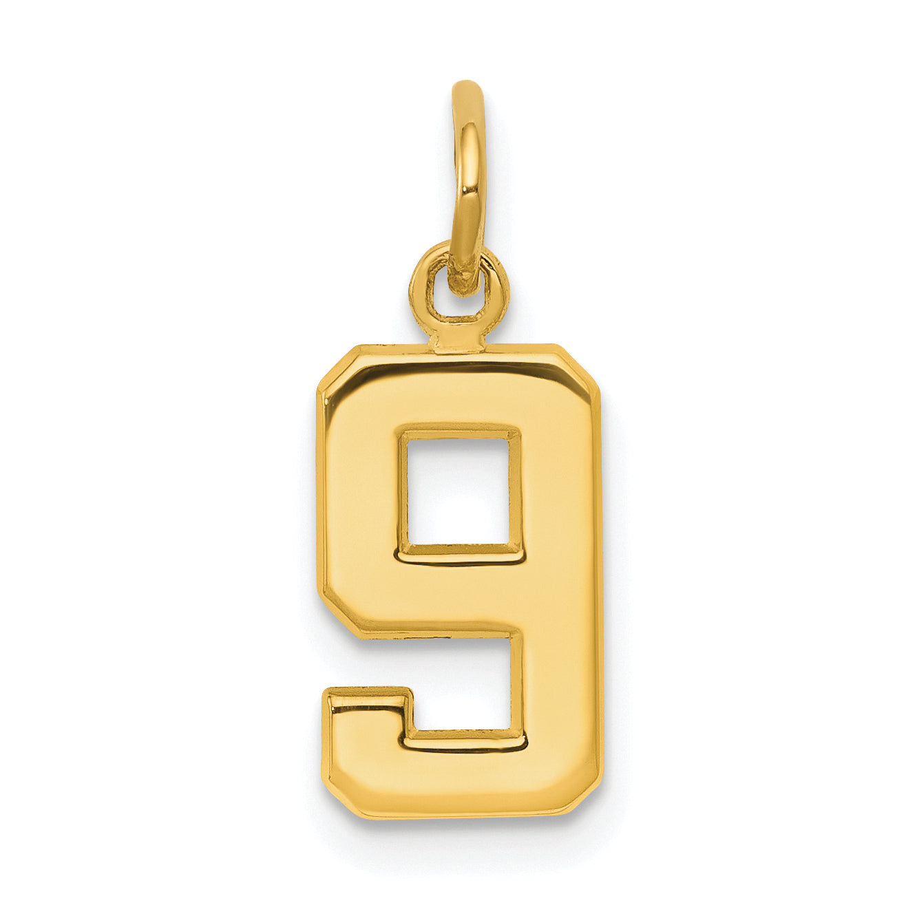 10K Yellow Gold Small Polished Number 9 Charm