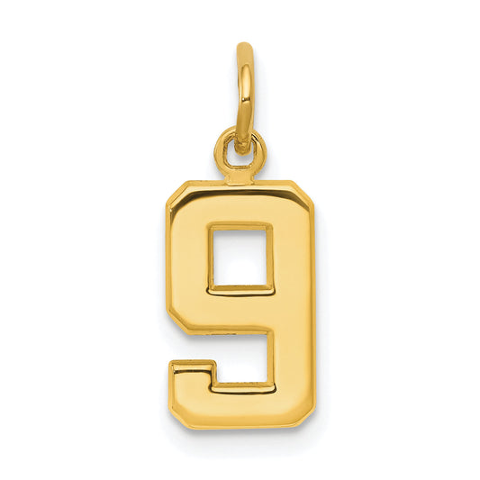 10K Yellow Gold Small Polished Number 9 Charm