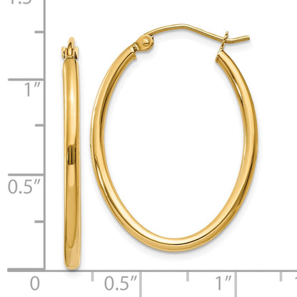 10K Yellow Gold Oval Polished Hoop Earring