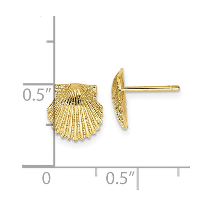 10K Yellow Gold Scallop Shell Post Earrings