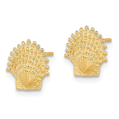 10K Yellow Gold 10K Beaded Scallop Shell Post Earrings