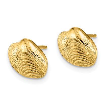 10K Yellow Gold 10K Clam Shell Post Earrings
