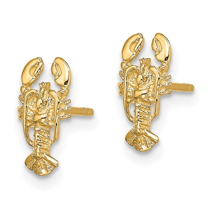10K Yellow Gold 10K 2-D Lobster Post Earrings