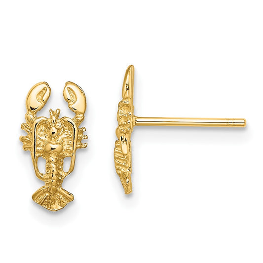 10K Yellow Gold 10K 2-D Lobster Post Earrings