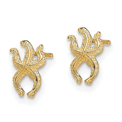 10K Yellow Gold 10K Mini Starfish Post Earrings