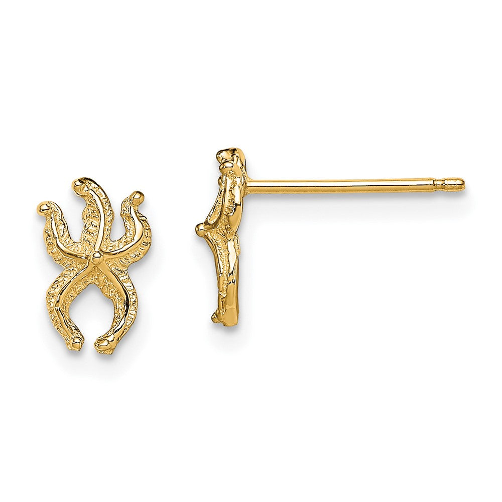 10K Yellow Gold 10K Mini Starfish Post Earrings
