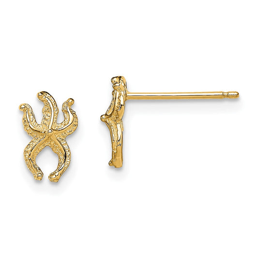 10K Yellow Gold 10K Mini Starfish Post Earrings