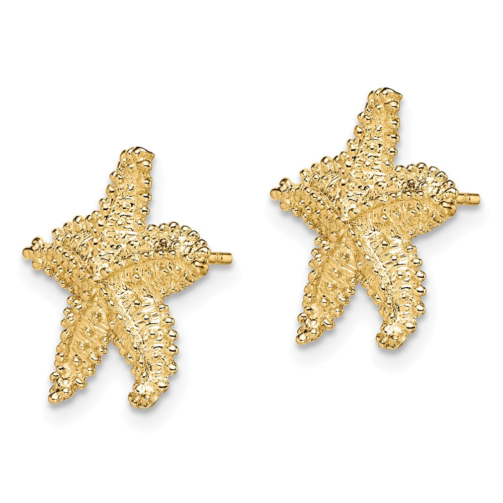 10K Yellow Gold 10K Textured Beaded Starfish Post Earrings