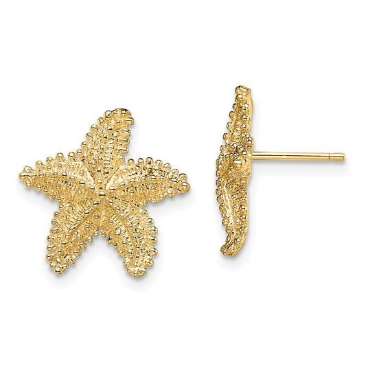 10K Yellow Gold 10K Textured Beaded Starfish Post Earrings