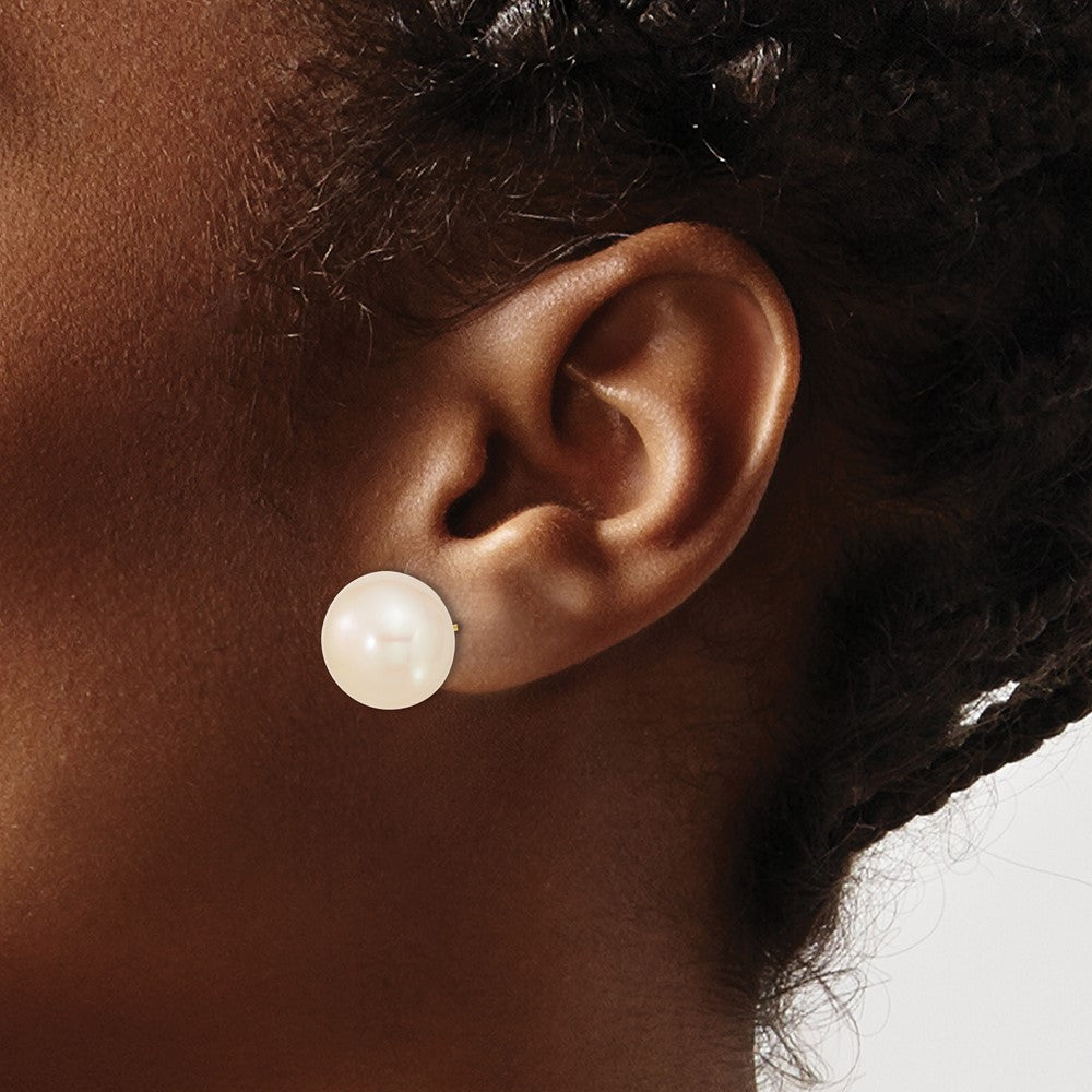 10K Yellow Gold 13-14mm White Button Freshwater Cultured Pearl Stud Post Earrings