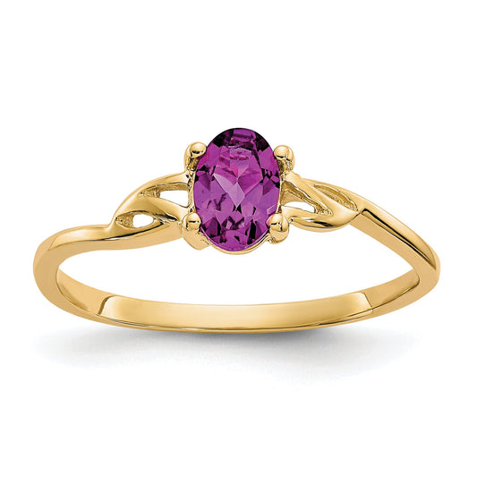 10K Yellow Gold Polished Genuine Rhodolite Garnet Birthstone Ring