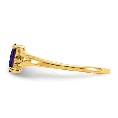 10K Yellow Gold Polished Genuine Amethyst Birthstone Ring