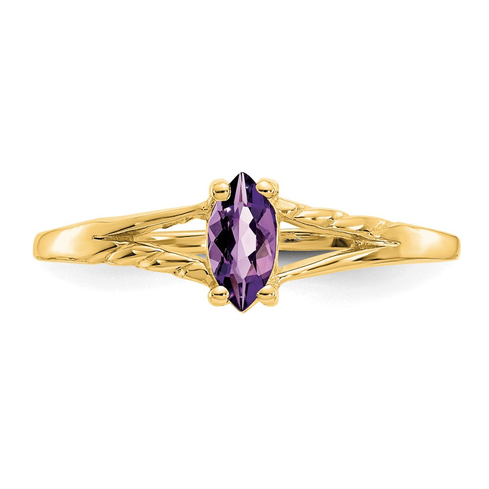 10K Yellow Gold Polished Genuine Amethyst Birthstone Ring