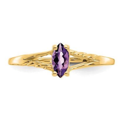 10K Yellow Gold Polished Genuine Amethyst Birthstone Ring