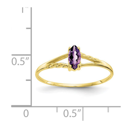 10K Yellow Gold Polished Genuine Amethyst Birthstone Ring