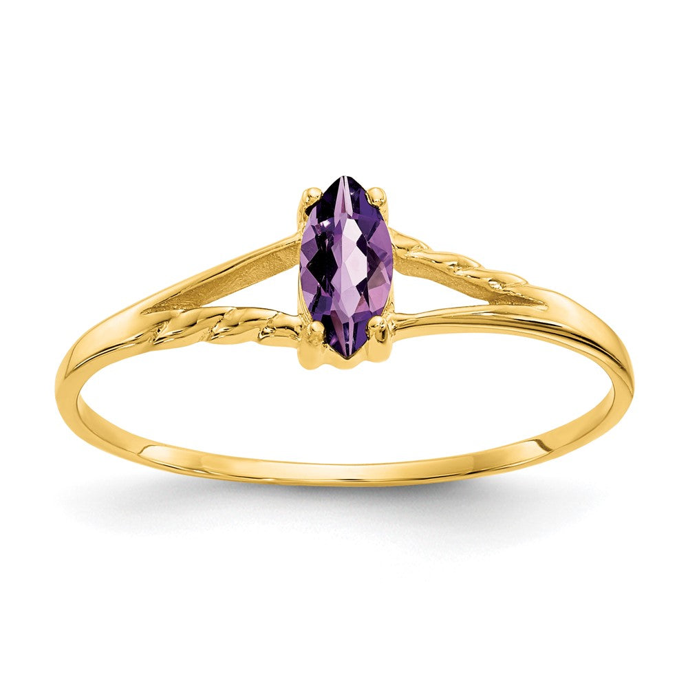 10K Yellow Gold Polished Genuine Amethyst Birthstone Ring