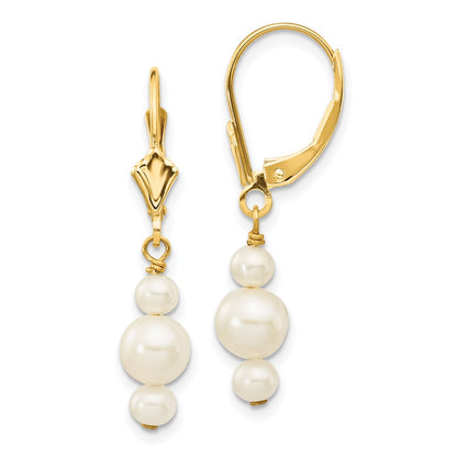 10K Yellow Gold 10K 3-3.5mm And 5-5.5mm White Semi-Round Freshwater Cultured Pearl Leverback Dangle Earrings