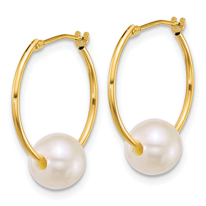 10K Yellow Gold Polished 7-8mm Semi-Round White Freshwater Cultured Pearl Hoop Earrings