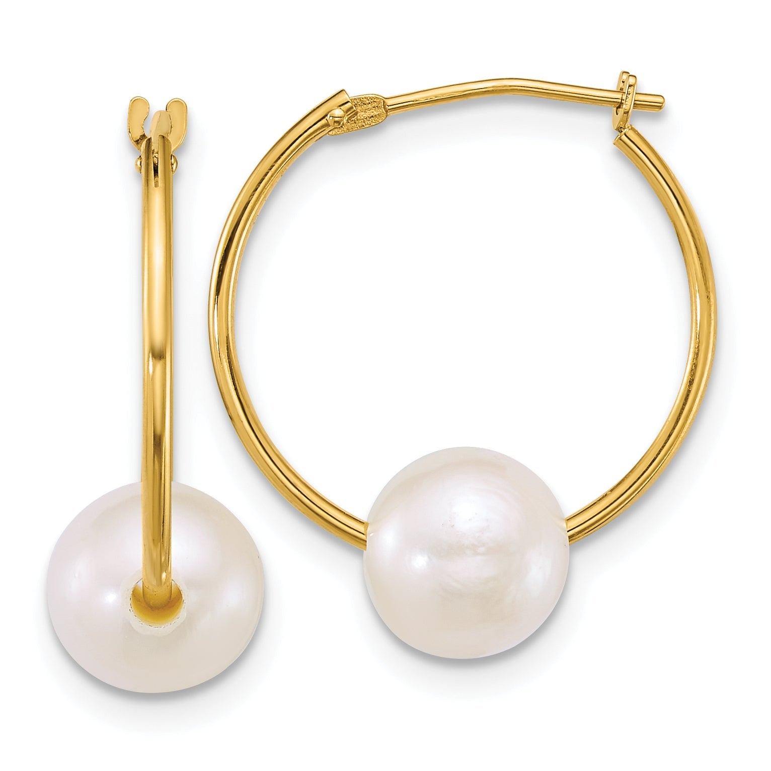 10K Yellow Gold Polished 7-8mm Semi-Round White Freshwater Cultured Pearl Hoop Earrings