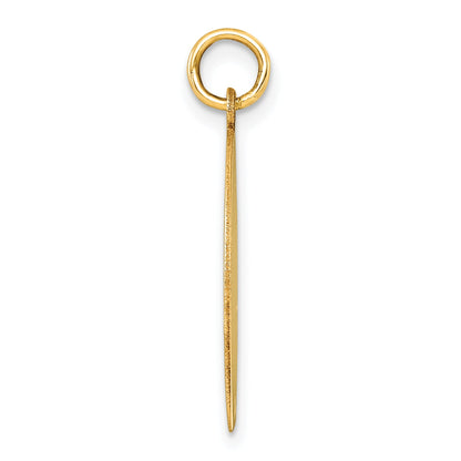 10K Yellow Gold 10K Round Disc Charm