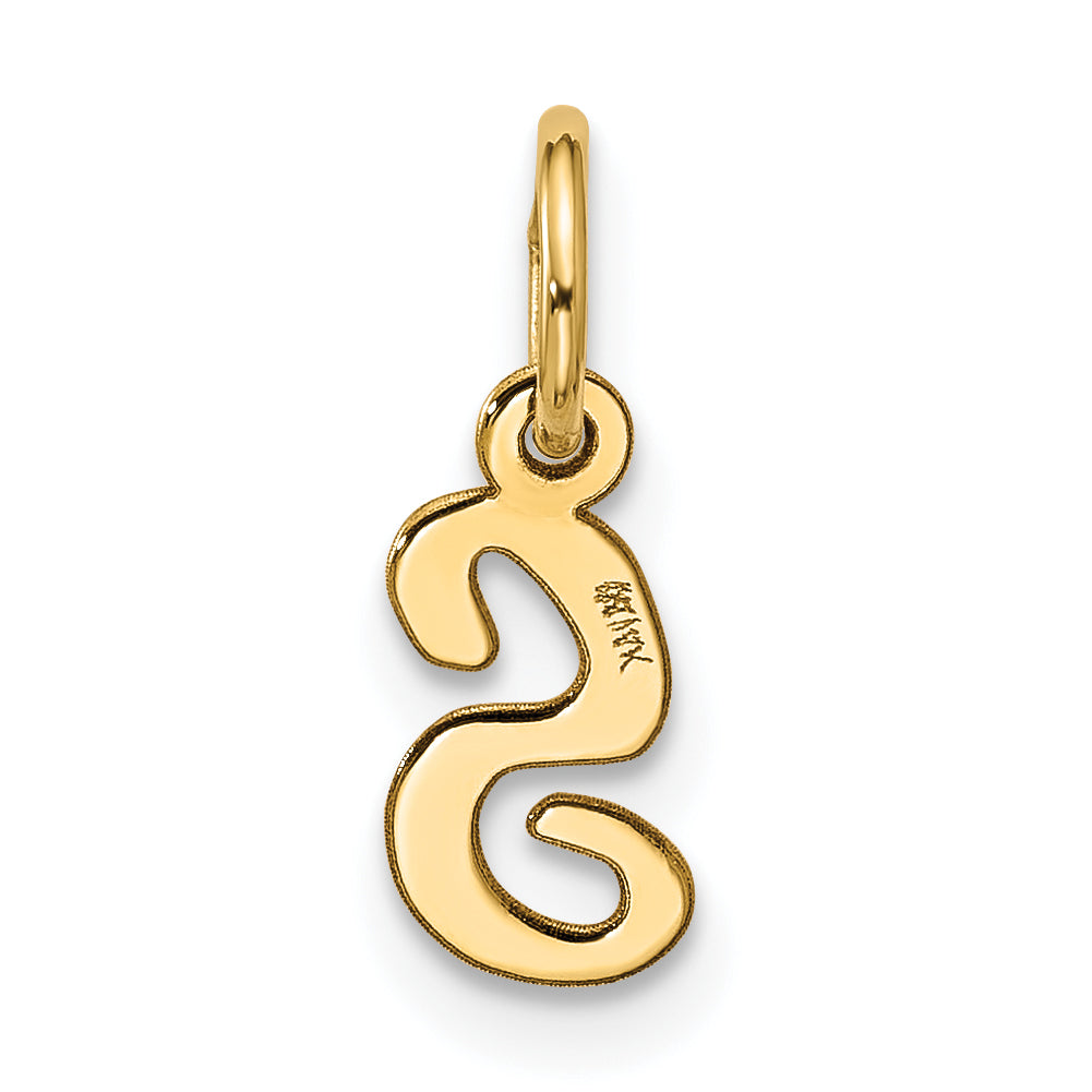 10K Yellow Gold Small Script Initial S Charm