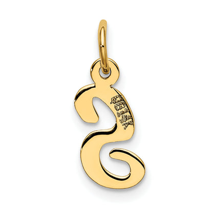 10K Yellow Gold Small Script Initial S Charm