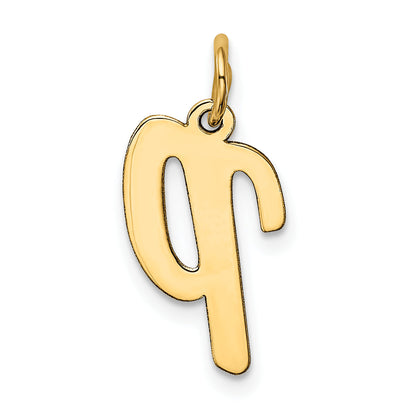 10K Yellow Gold 10K Medium Script Letter P Initial Charm