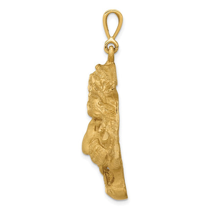 10K Yellow Gold Tigers Head Pendant
