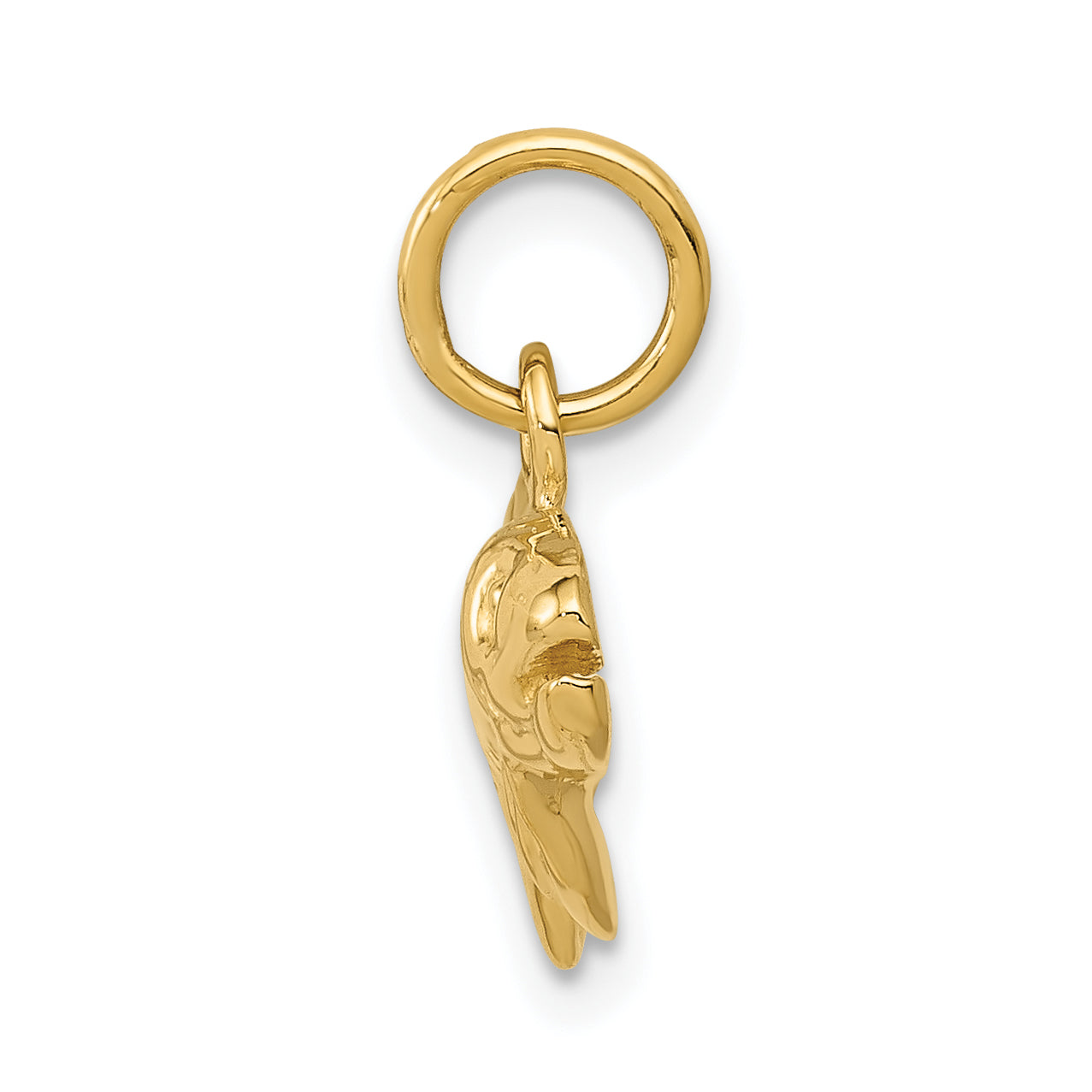 10K Yellow Gold Fish Charm