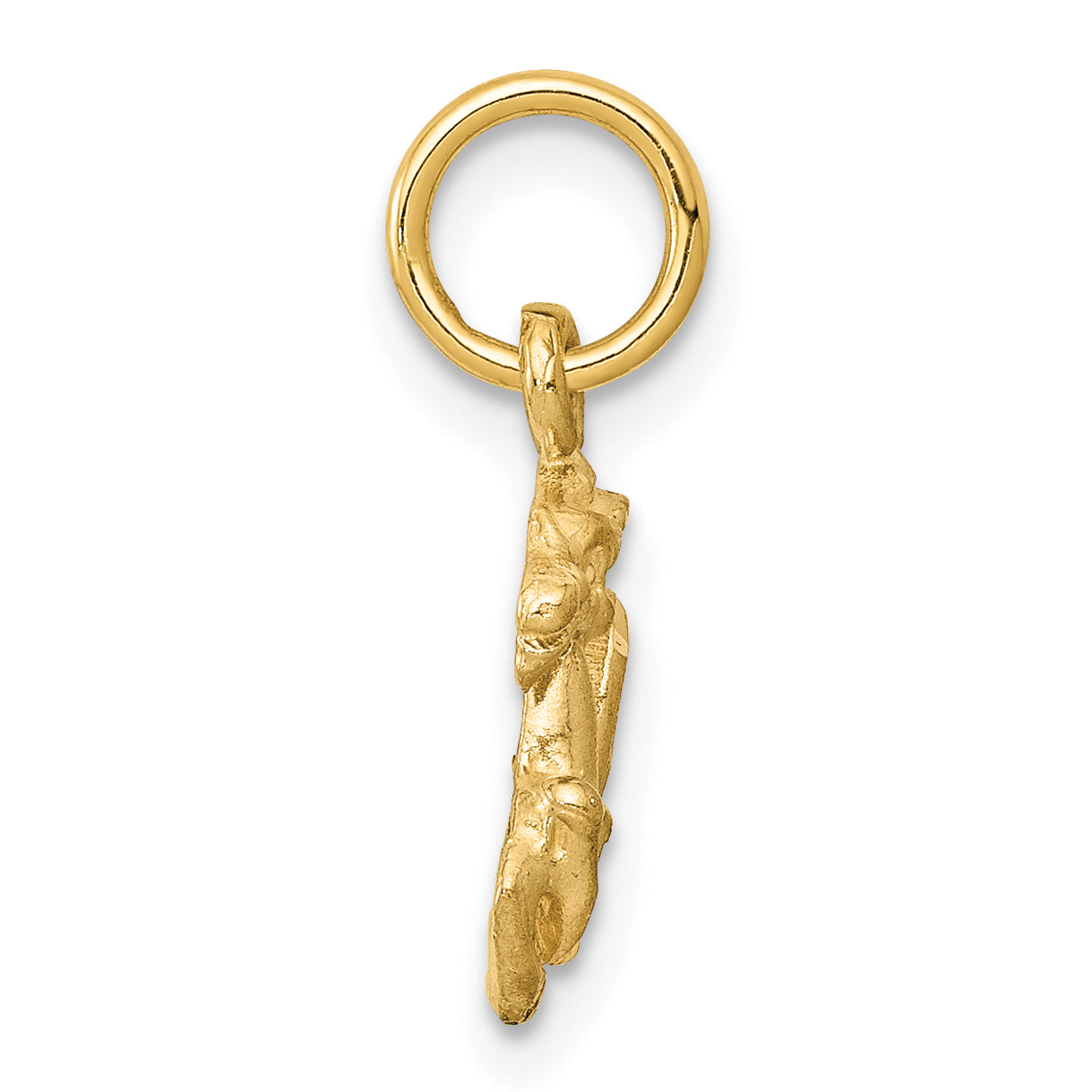 10K Yellow Gold Capricorn Zodiac Charm