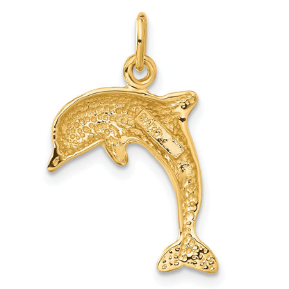 10K Yellow Gold Dolphin Charm