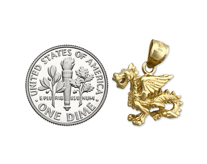 14K Gold 3D Mythical Winged Dragon Charm