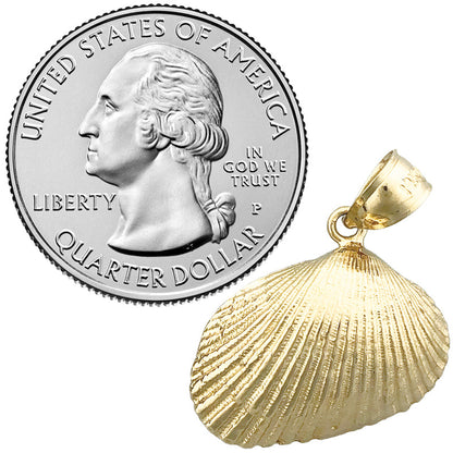 14K Gold Mollusc Clam Seashell Pendant