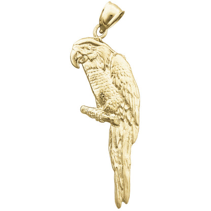 14K Gold Macaw Pendant