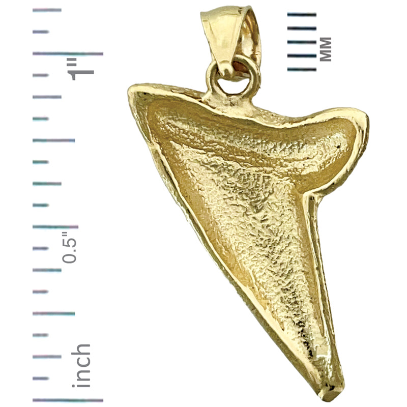 14K Gold Shark Tooth Pendant