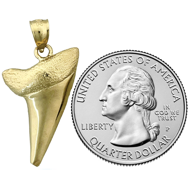 14K Gold Shark Tooth Pendant