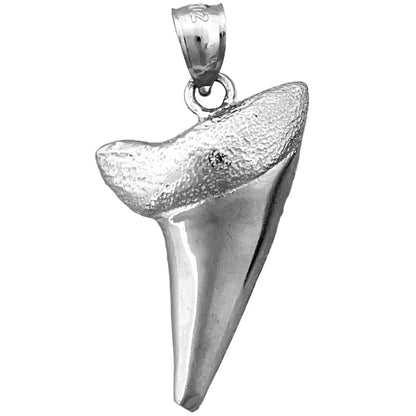 14K Gold Shark Tooth Pendant