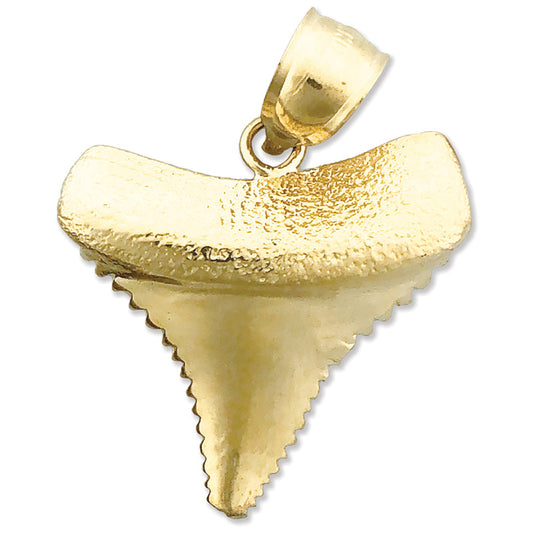 14K Gold Serrated Shark Tooth Pendant
